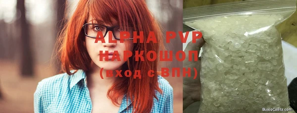 спиды Новодвинск