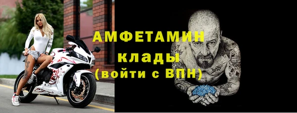 спиды Новодвинск