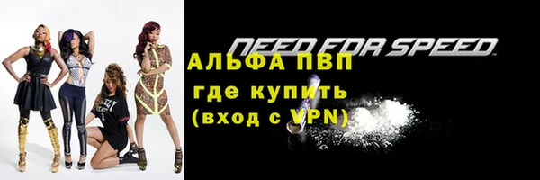 спиды Новодвинск
