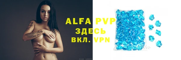 спиды Новодвинск