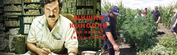 скорость Новокубанск