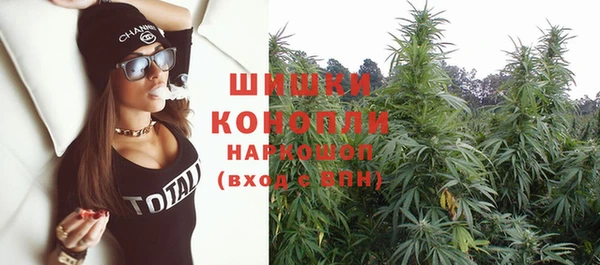 спиды Новодвинск