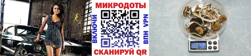 Галлюциногенные грибы GOLDEN TEACHER  Рузаевка 