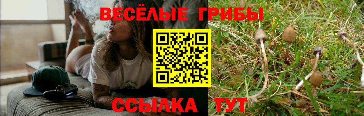 Псилоцибиновые грибы MAGIC MUSHROOMS  Галлюциногенные грибы GOLDEN TEACHER  Рузаевка  Вход с VPN 